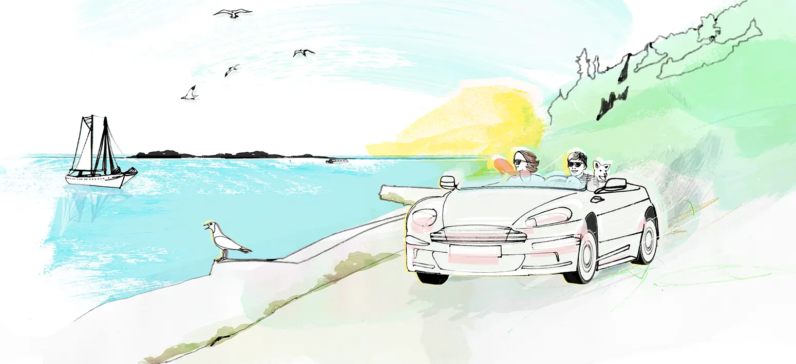 Ehepaar mit Hund fährt im Cabriolet an der Küste entlang